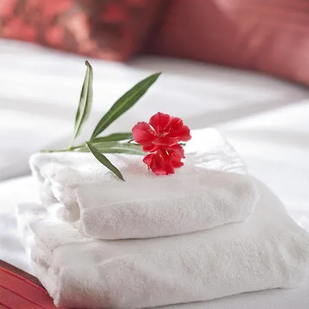 Hotel Sercotel Aura